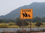 Trouble on the Border!