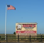 Mapes Ranch Billboard
