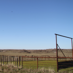 Corral on Willms Road Photo by Jim Gain