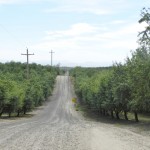 Eastern Stanislaus County Foothills