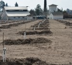 Prime Farmland Near Modesto