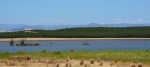 Orchard Around Modesto Reservoir