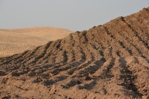 Ripped Soil. Eastern Stanislaus County. August 6 2014