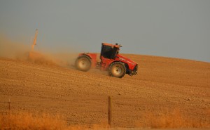 Ripping for New Orchard Eastern Foothills August 6 2014