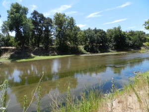 Tuolumne River Near Modesto