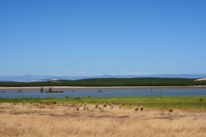 Modesto Reservoir Summer 2014