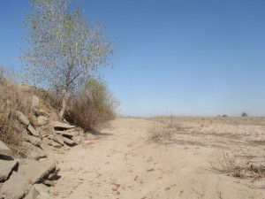 San Joaquin River, summer, 2009 