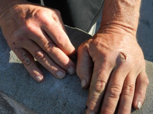 Scottie's hands