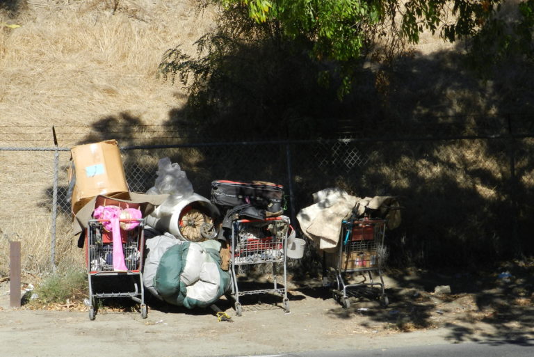Homeless: The Cruel Futility of Sweeps