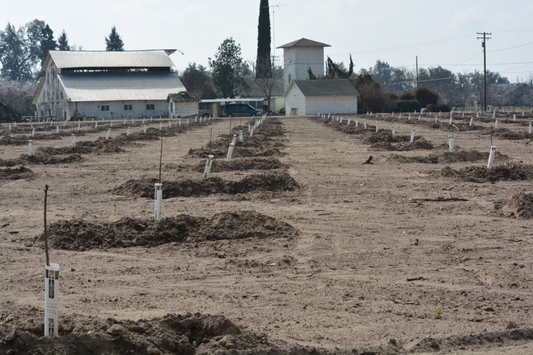 Valley Farmland Serves the Public Interest