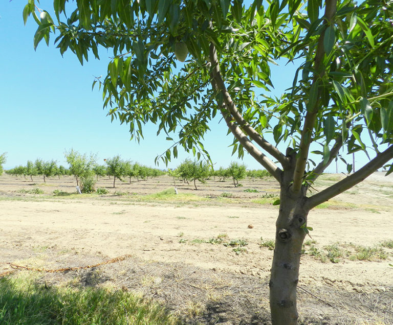 Farming and the New Politics of Water