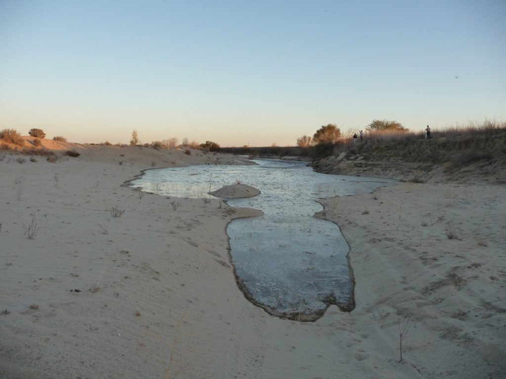 San Joaquin River: water by court order; photo by Josh Uecker