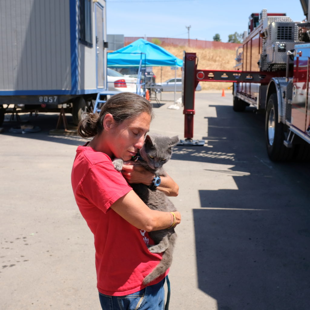 Owner hugs rescued cat