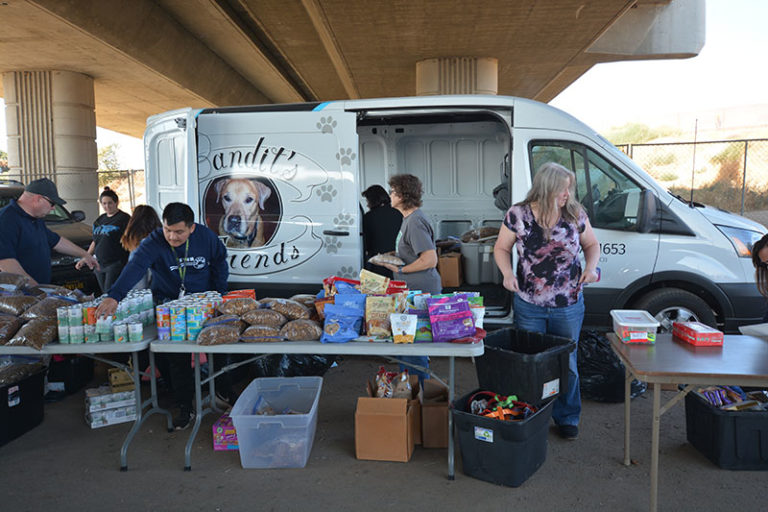 Bandit's furends setting up