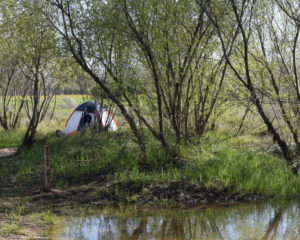 Tent along Tuolumne River