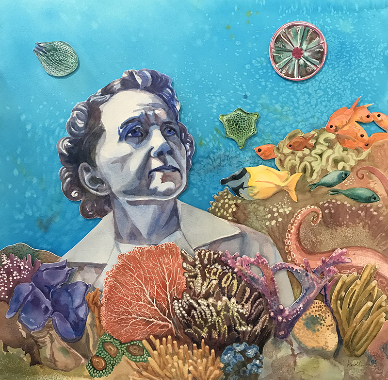 Rachel Carson by Linda Knoll