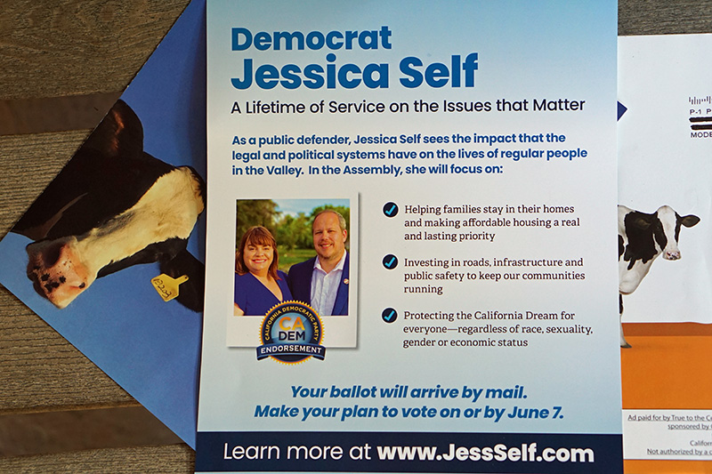 Jessica Self campaign flyer May 2022