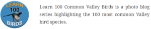Learn 100 Common Valley Birds: Species #68/100