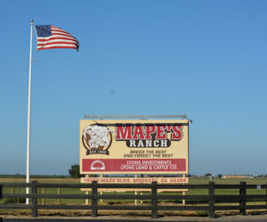 Mapes Ranch sign and flag