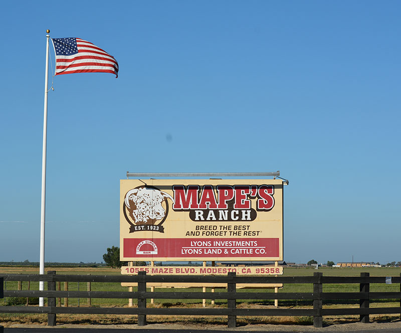Mapes Ranch sign and flag