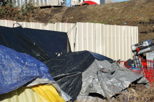 Cat at camp 12 Dec 22 Modesto