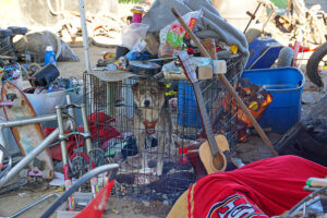 Doobie Doug Harfer's dog