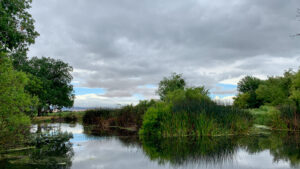 Wetlands one SJRNWR