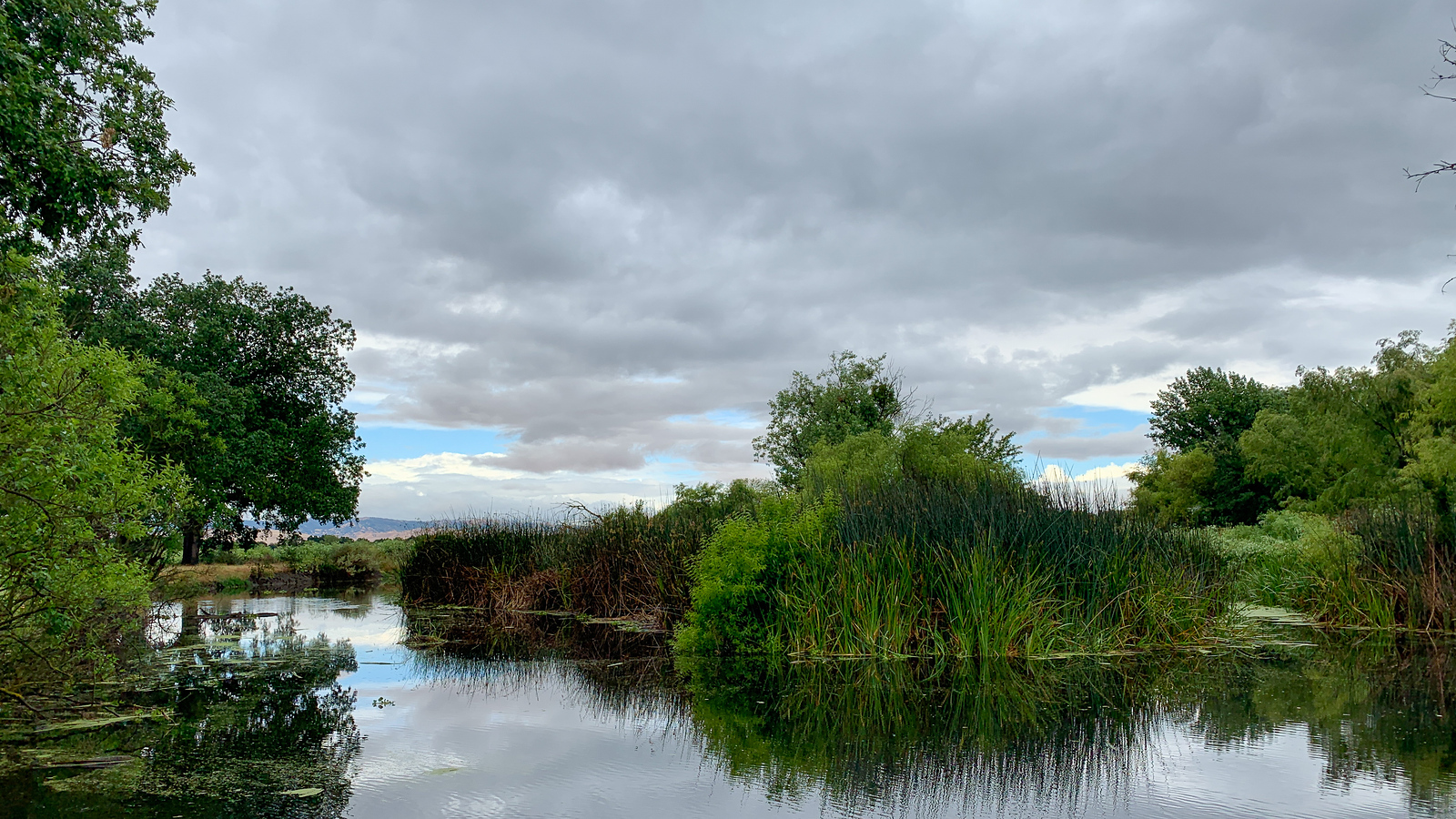 Wetlands one SJRNWR