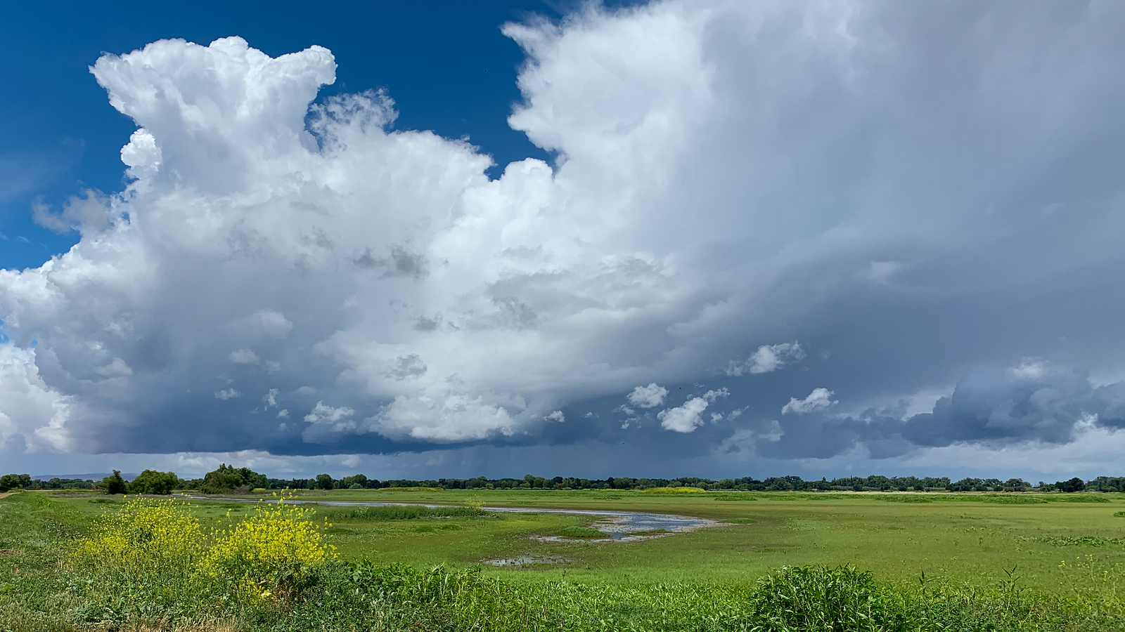 Wetlands two SJRNWR