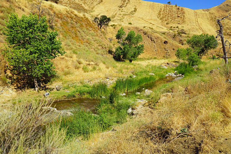 Del Puerto Creek in Del Puerto Canyon 6 July 2024