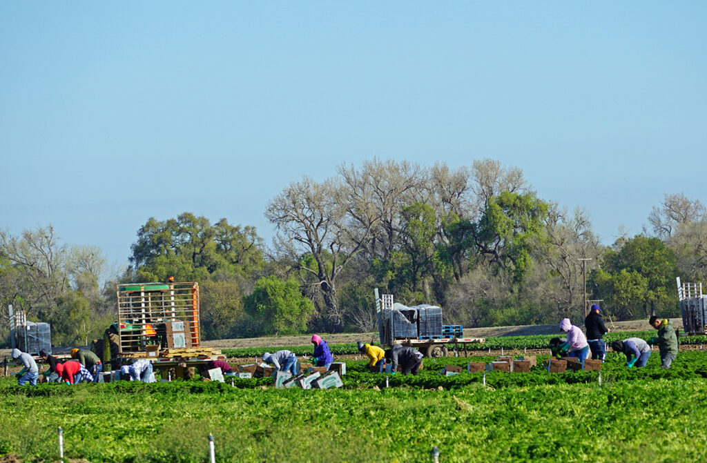 Stanislaus County farmworkers