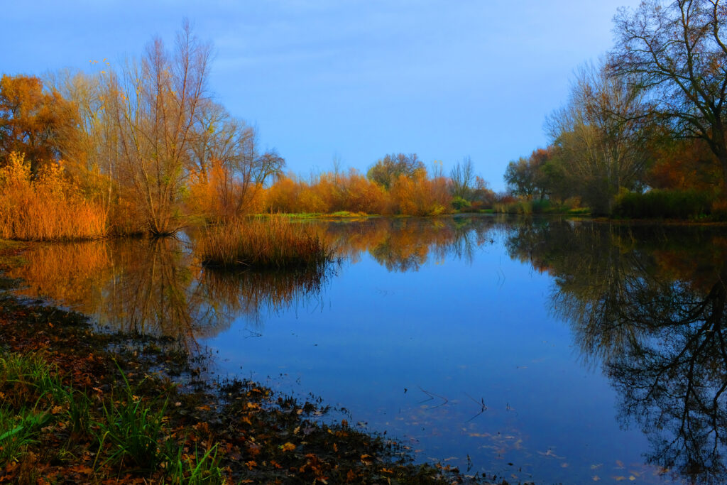 Pond near Stanislaus River