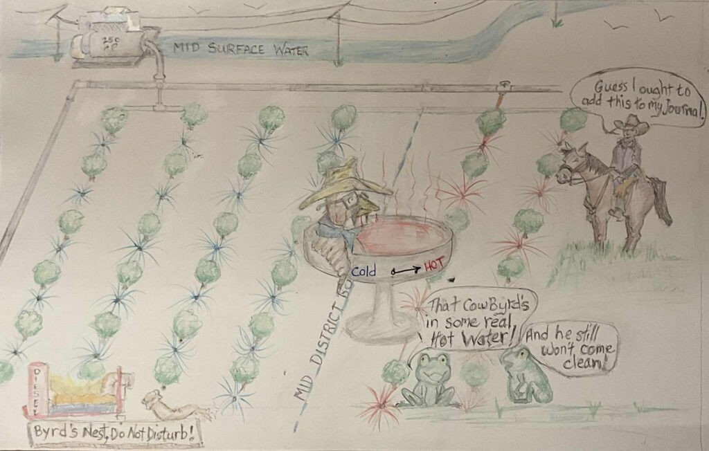 CowByrd cartoon by Neil Selover