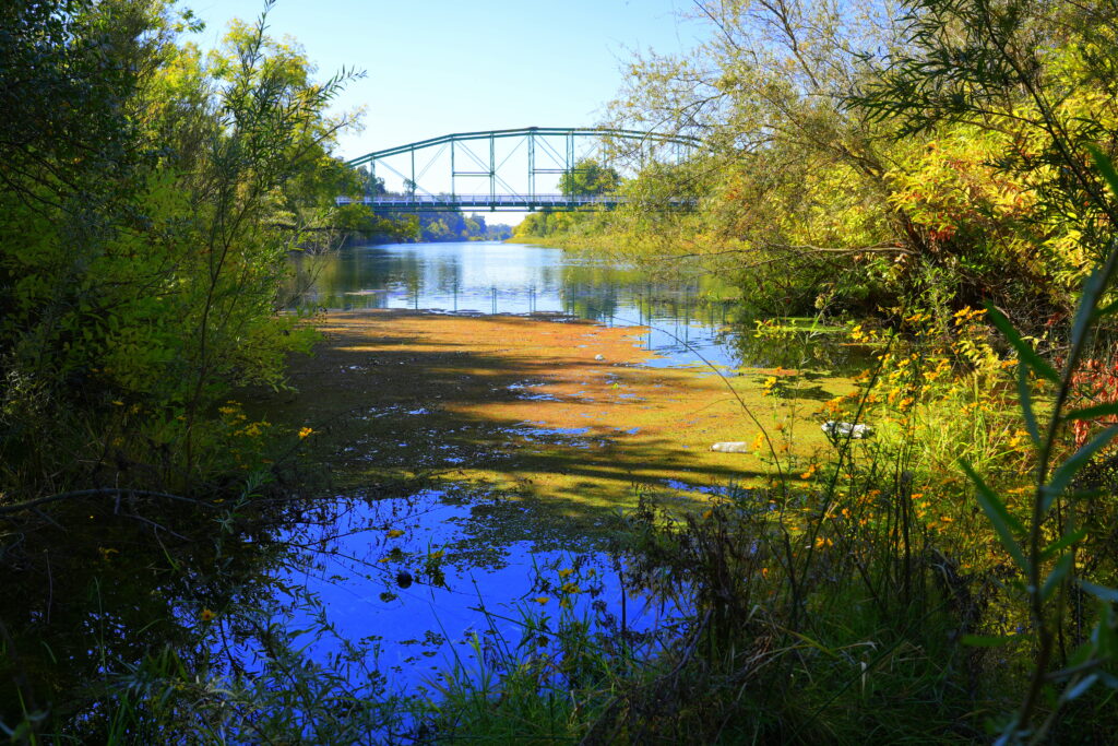 Tuolumne River at Basso Bridge October 2025