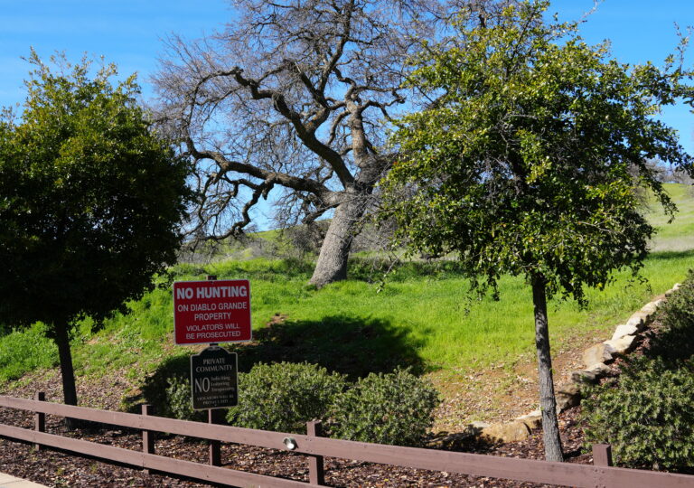 Diablo Grande entrance sign